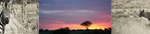 Landrovingafrica Sunset
