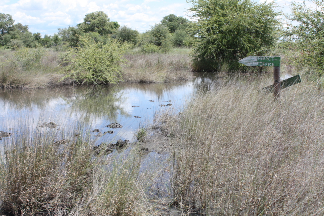 Die pad na die besprekings kantoor van die Nkasa Rupara National Park (Mamili)