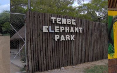 Ndumo Game Reserve/Tembe Elephant Park/Kosi Mouth – December 2019